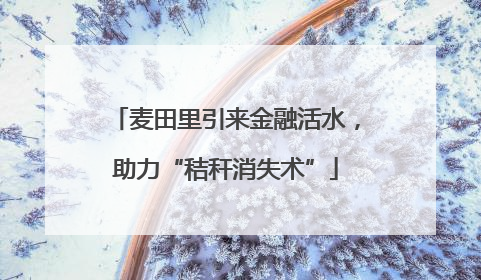 麦田里引来金融活水，助力“秸秆消失术”